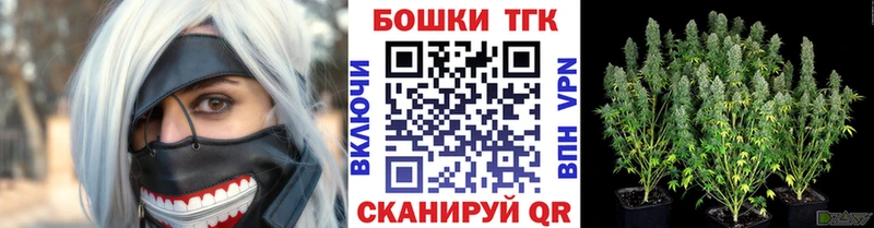 Купить закладку КОКАИН  МЕФ  Метадон  ГАШ  Псилоцибиновые грибы  Салехард