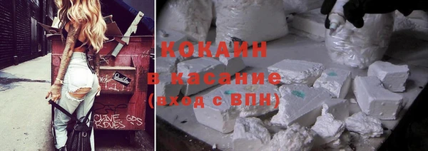 сатива Медногорск