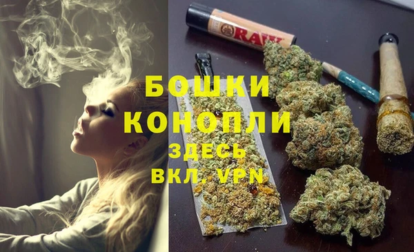 сатива Медногорск