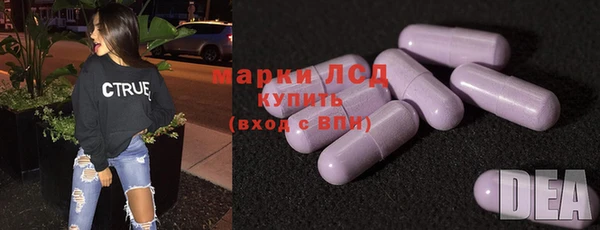 сатива Медногорск