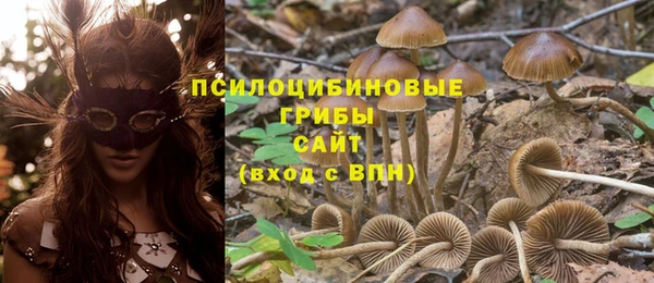 сатива Медногорск