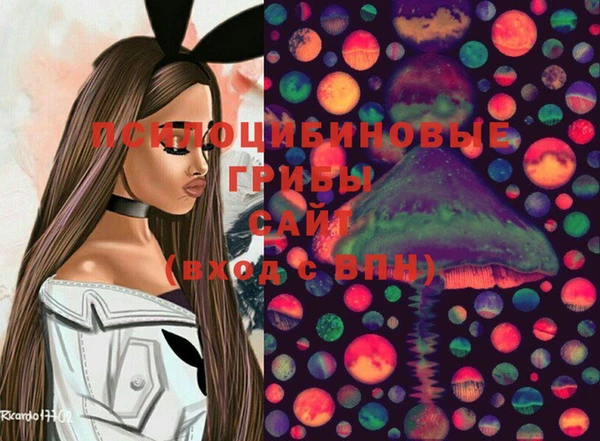 мескалин Медвежьегорск