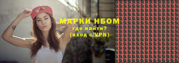 сатива Медногорск