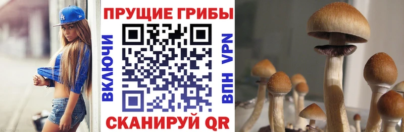 Галлюциногенные грибы Magic Shrooms  Купить закладки  Салехард 