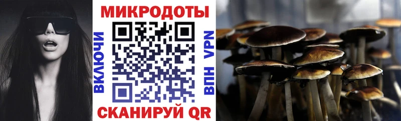 Галлюциногенные грибы GOLDEN TEACHER Салехард